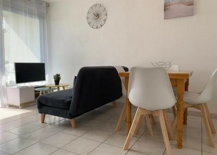 2* Avec Clim Et Animaux Admis A - Fr-1-503-127 Lägenhet Balaruc-les-Bains