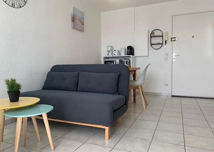 2* Avec Clim Et Animaux Admis A - Fr-1-503-127 *