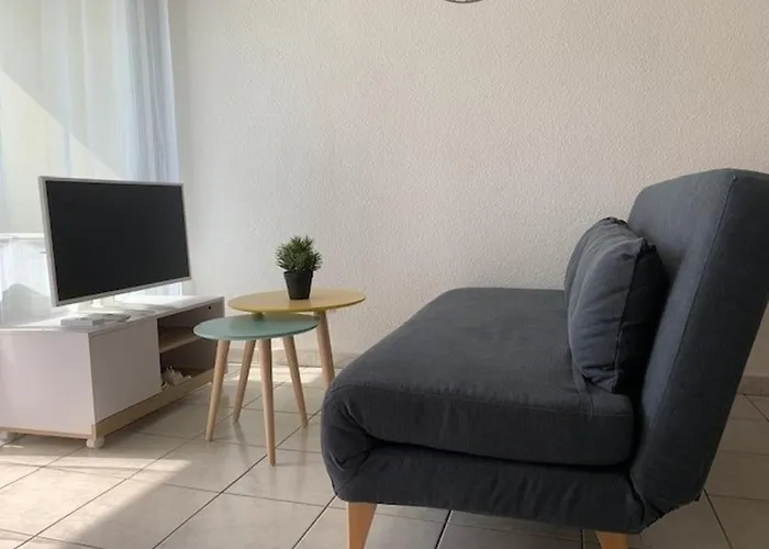 2* Avec Clim Et Animaux Admis A - Fr-1-503-127