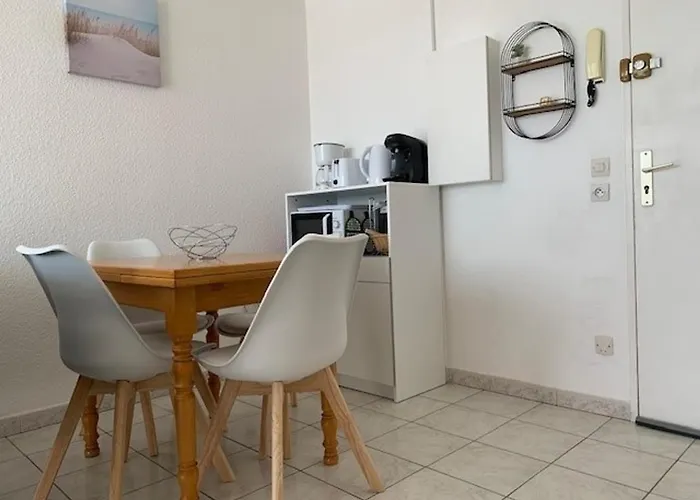 2* Avec Clim Et Animaux Admis A - Fr-1-503-127 * Balaruc-les-Bains